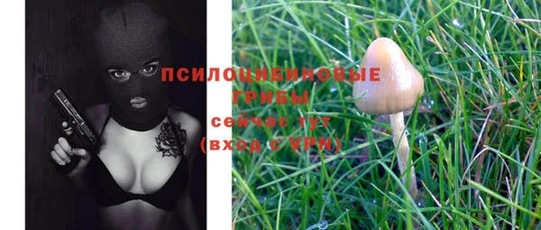 mix Саяногорск