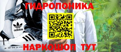 прущие грибы Берёзовский