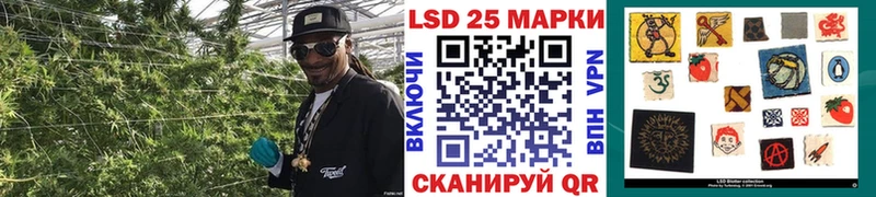 наркотики  blacksprut ТОР  Марки NBOMe 1500мкг  Гудермес 