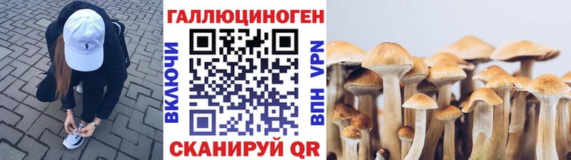 Псилоцибиновые грибы Cubensis  что такое наркотик  Гудермес 