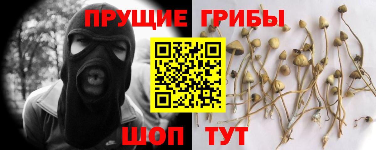 Псилоцибиновые грибы MAGIC MUSHROOMS Гудермес